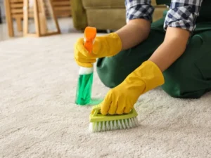 أفضل مكتب استقدام في الرياض 2 أفضل مكتب استقدام في الرياض، عمالة منزلية مدربة ومضمونة